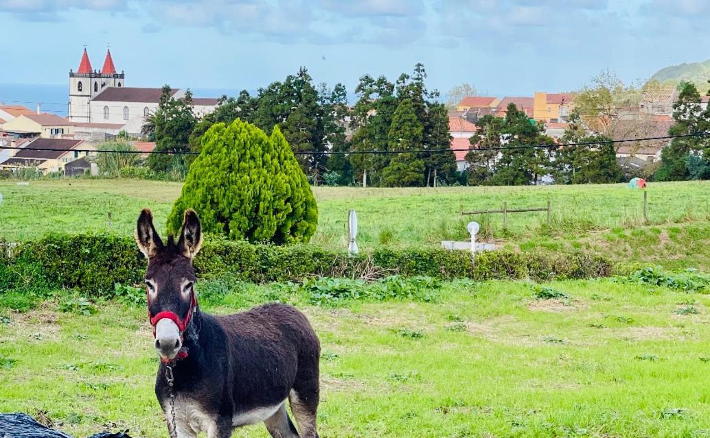 Quinta Do Avo Dimas - Rural Home - Sao Bras Porto Formoso Bagian luar foto