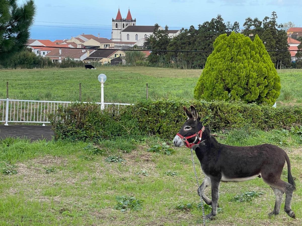 Quinta Do Avo Dimas - Rural Home - Sao Bras Porto Formoso Bagian luar foto